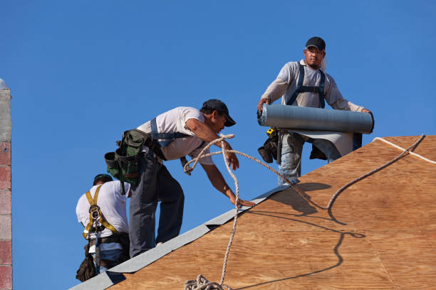 Gutter Installation and Roofing in Coral Terrace, FL